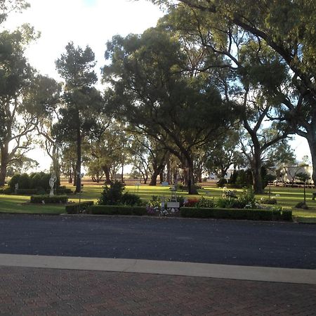 Cooee Motel Gilgandra Exterior photo