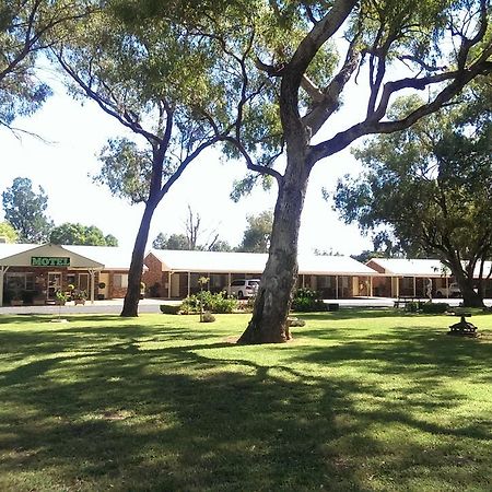 Cooee Motel Gilgandra Exterior photo