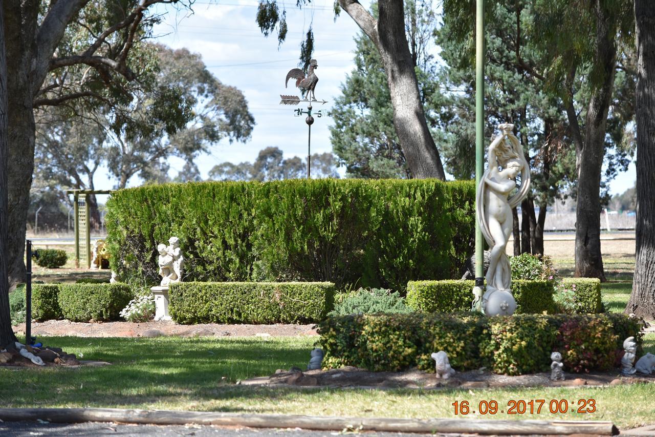 Cooee Motel Gilgandra Exterior photo